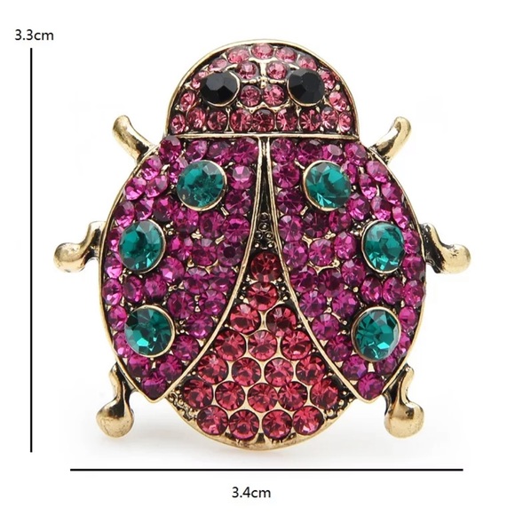 Lady Bug Brooch - Picture 3 of 6